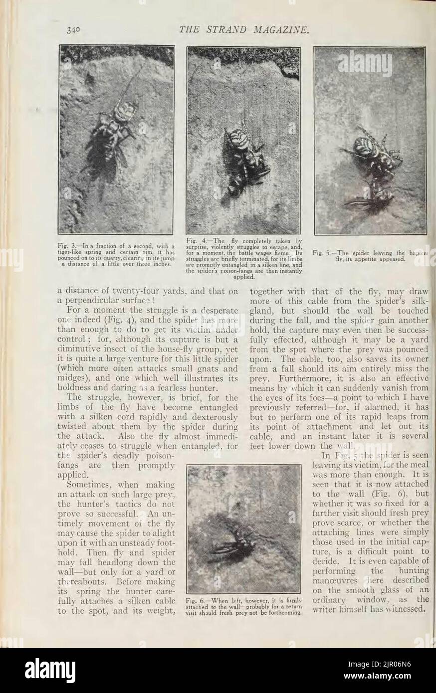 Page340
