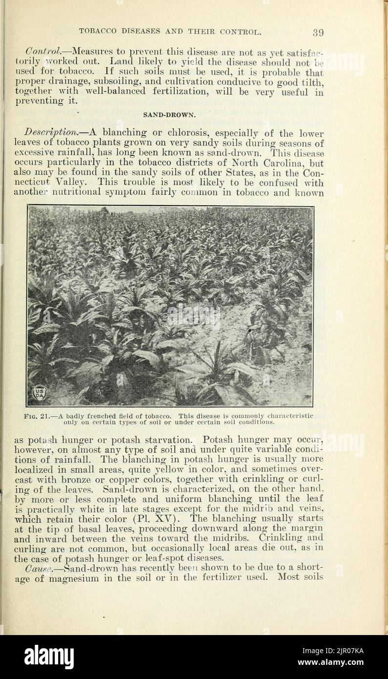 Tobacco diseases and their control Stock Photo Alamy