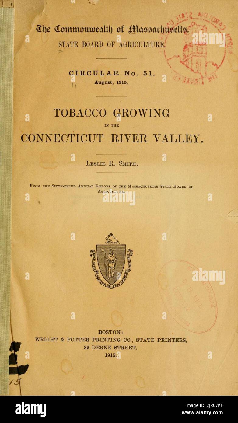 Tobacco growing in the Connecticut River Valley Stock Photo Alamy