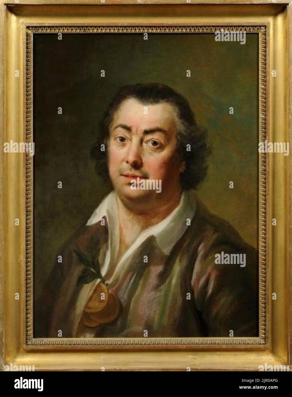 Toegeschreven aan Hendrik Pothoven - Portret van Johannes le Francq van Berkhey (1729-1812) - S 210 Stock Photo