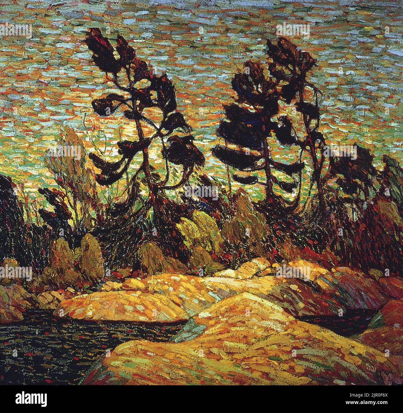 Tom Thomson Summer Shore, Bay Stock Photo Alamy