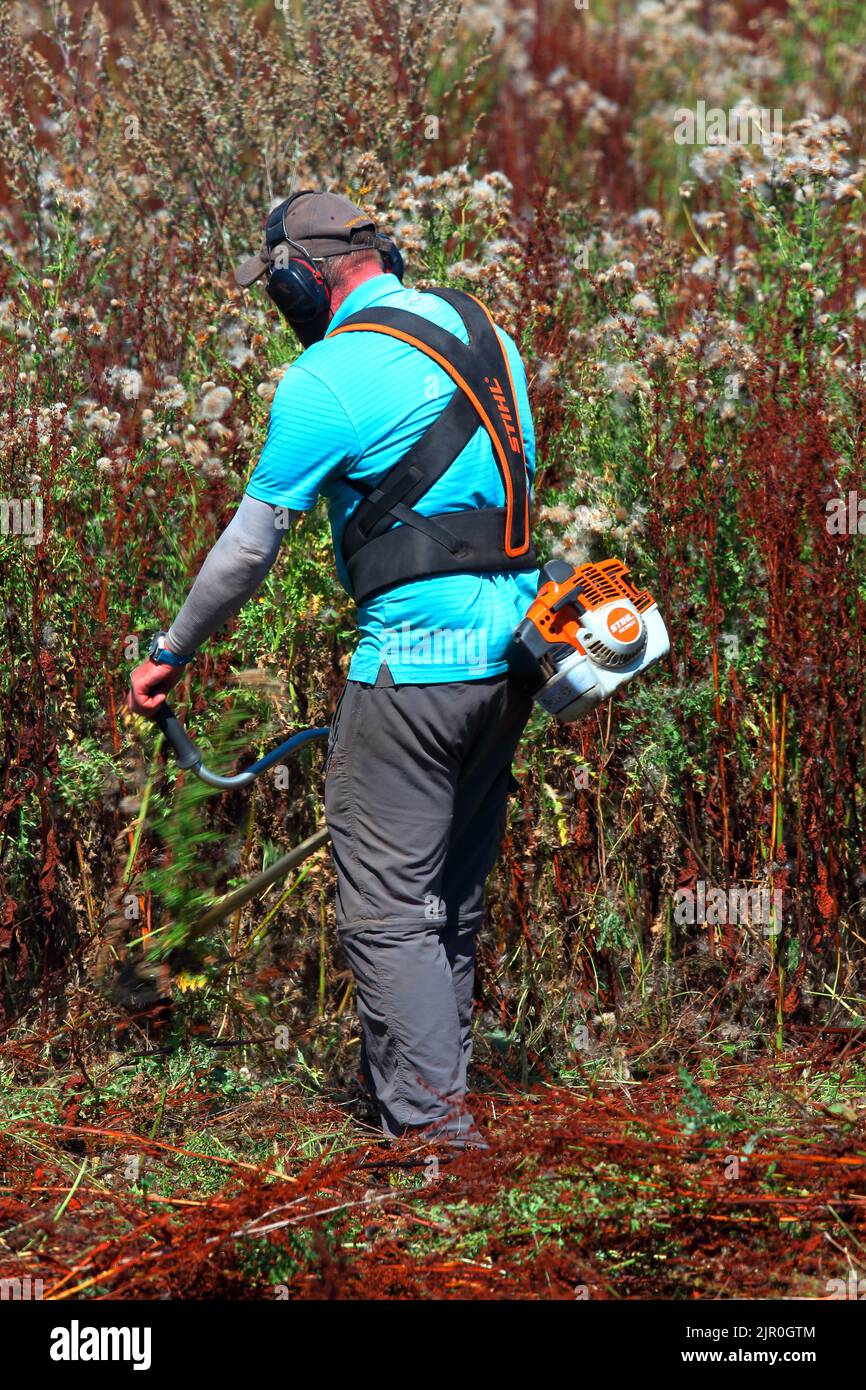 A very hot day for strimming a field full of very large weeds undertaken  with all the correct safety equipment. Stock Photo