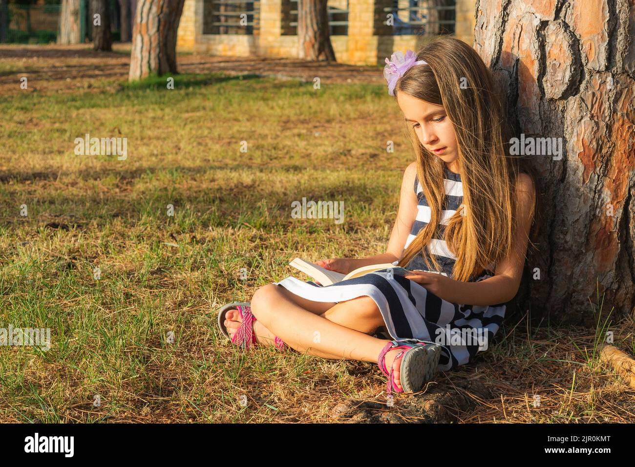 The little girl reading a book while sitting under a tree in the park ...