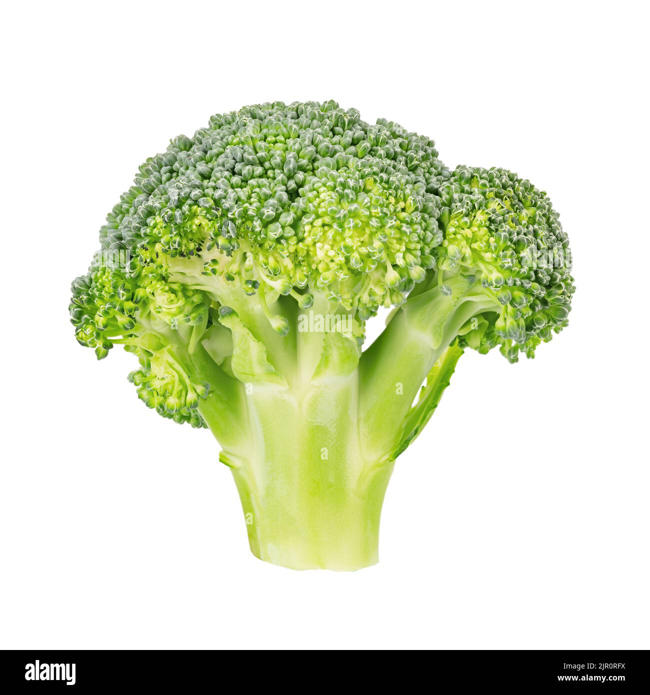 Fresh broccoli isolated on white background. Creative food concept ...
