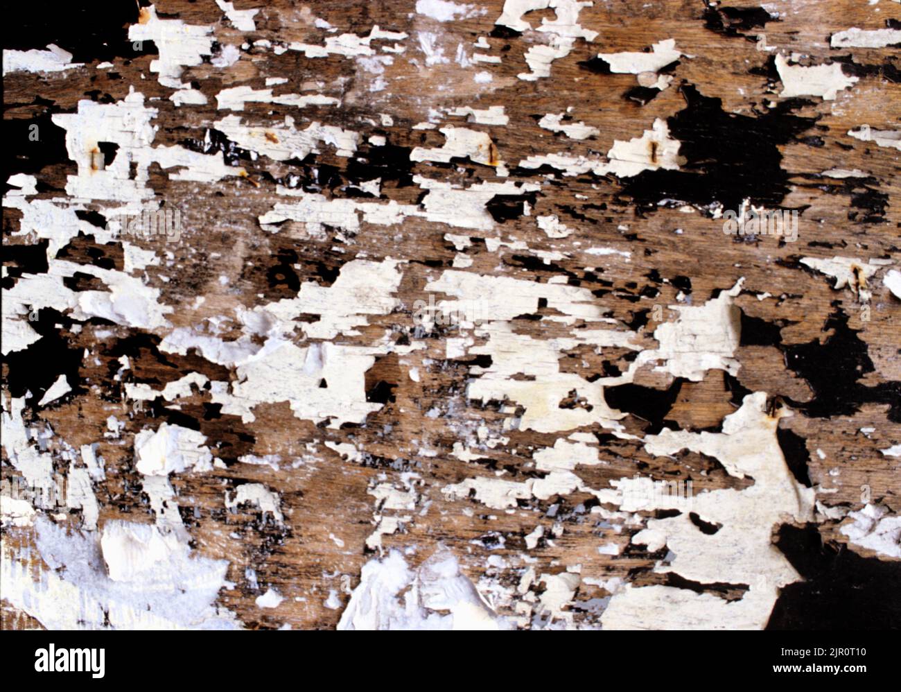Black and white textured background Stock Photo - Alamy