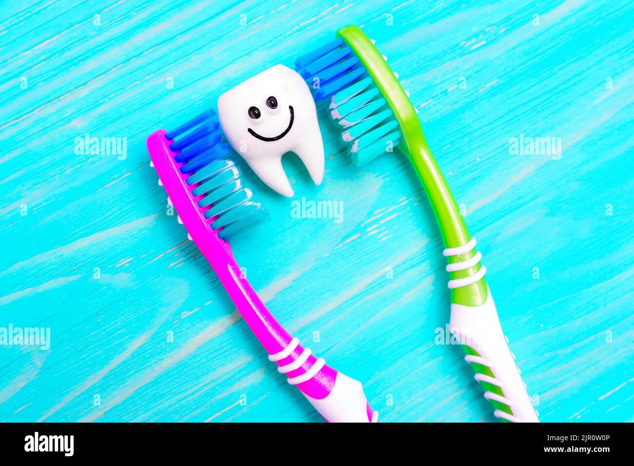 Funny tooth character between two colorful toothbrushes isolated on a blue wooden background. Daily dental hygiene routine for children. Stock Photo