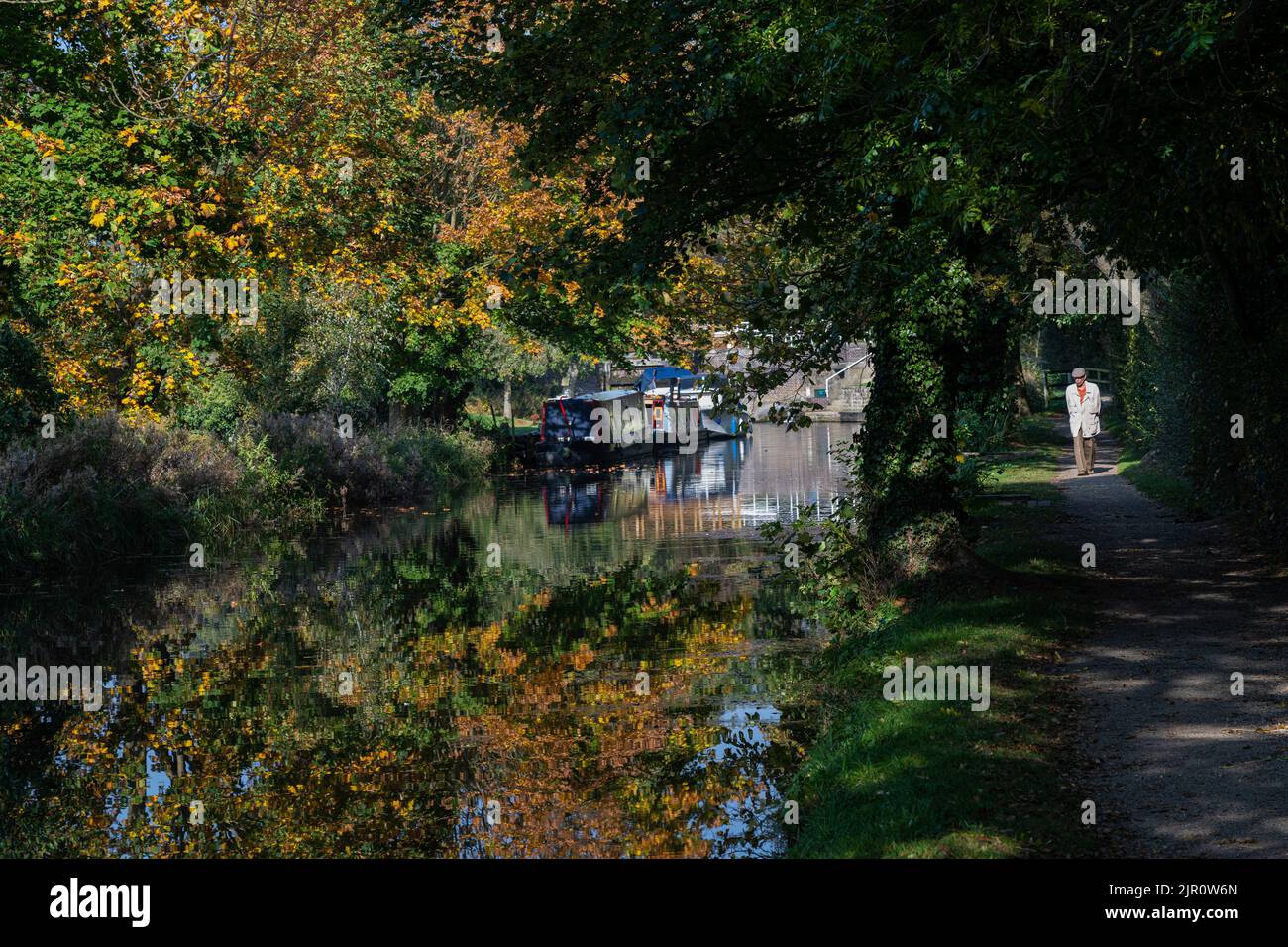 A senior man strolls along a nearby footpath and looks at reflections of foliage on the water by the Ripon Canal in Ripon, England, UK. Stock Photo