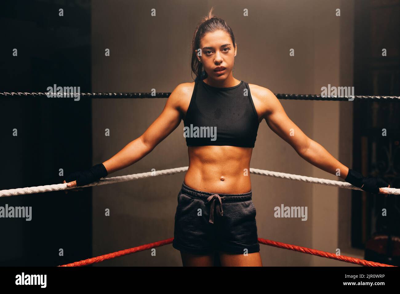 https://c8.alamy.com/comp/2JR0WRP/fit-young-woman-looking-at-the-camera-while-standing-in-one-corner-of-a-boxing-ring-confident-female-boxer-training-in-a-boxing-gym-2JR0WRP.jpg