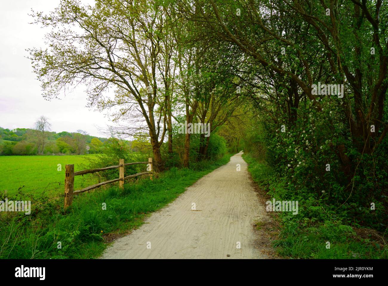 The forest way country park trail in East Sussex. Stock Photo