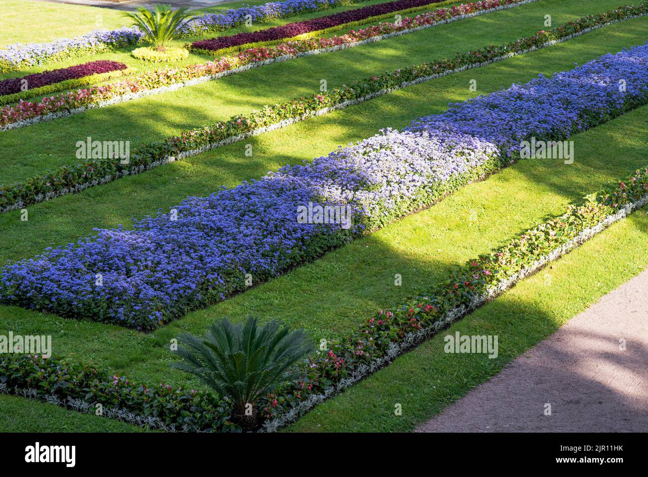 A garden with flowers and green grass in nature. Beautiful landscape ...