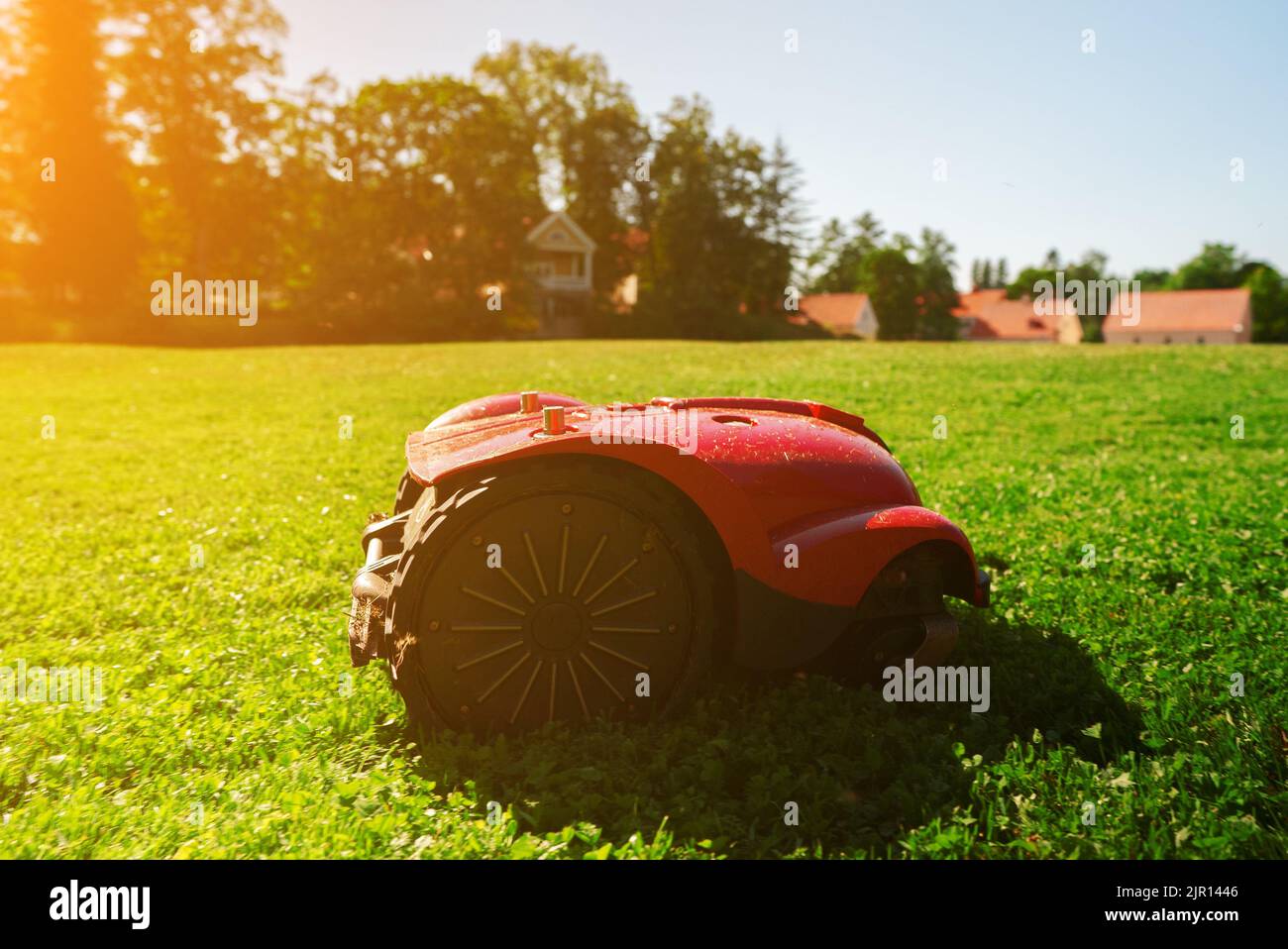 Red robotic lawn mower mows the grass on the lawn. Stock Photo