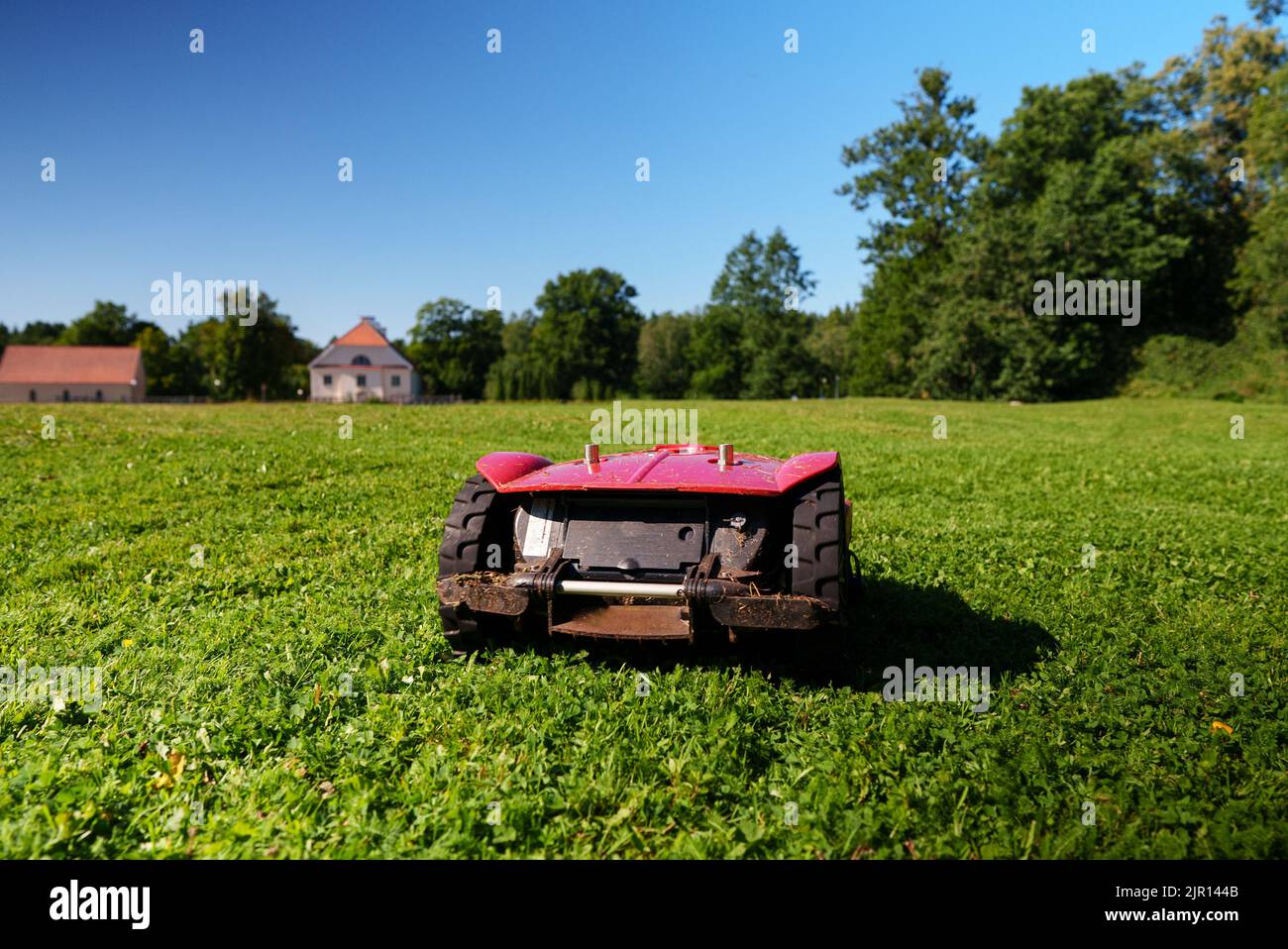 Red robotic lawn mower mows the grass on the lawn. Stock Photo