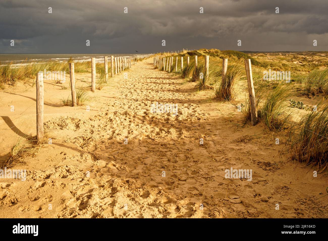 A beautiful sandy path along the ocean. Sunshine and dark clouds in the