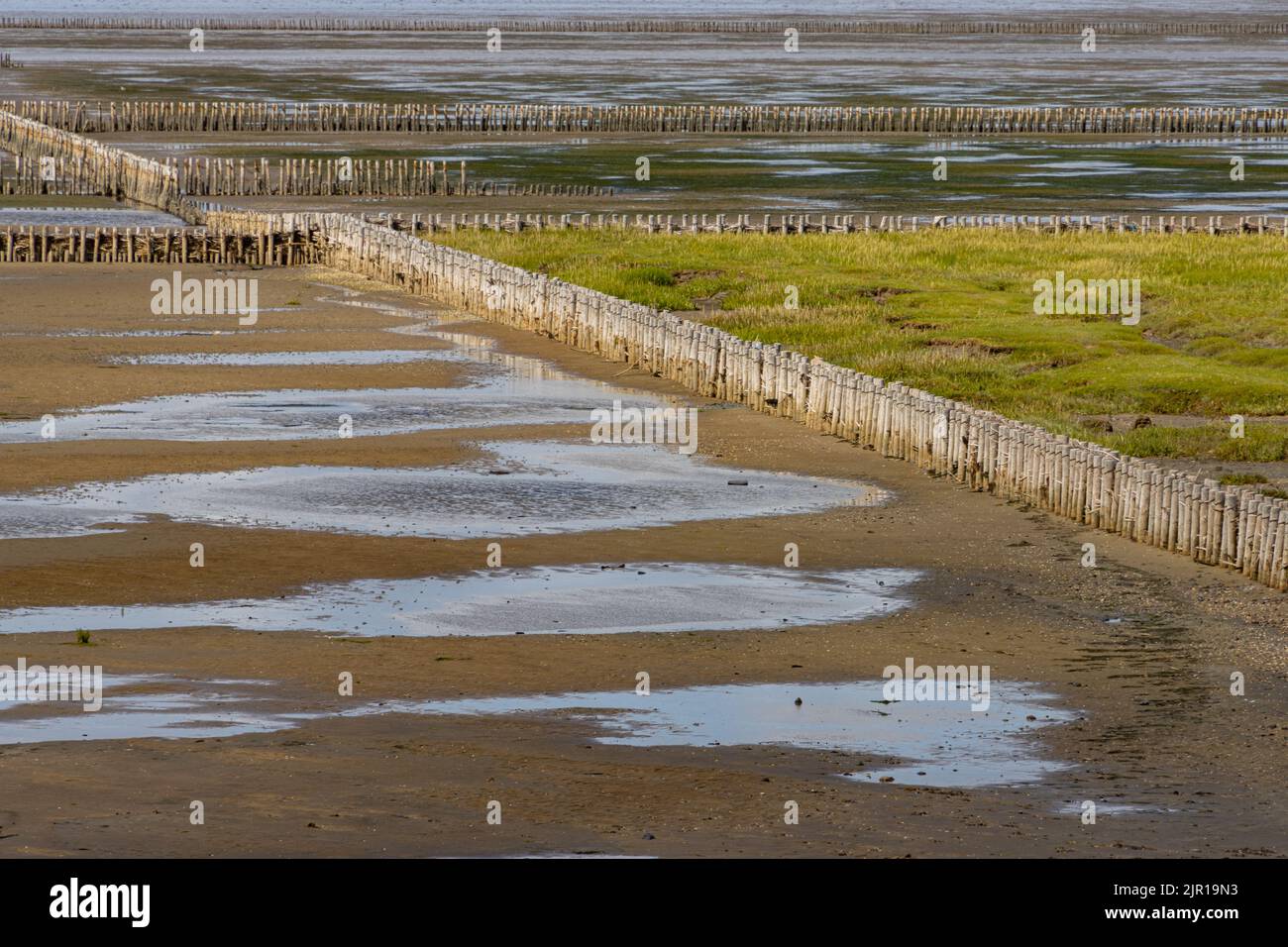 Wood barrier for land reclamation in the wadden sea, north sea Germany