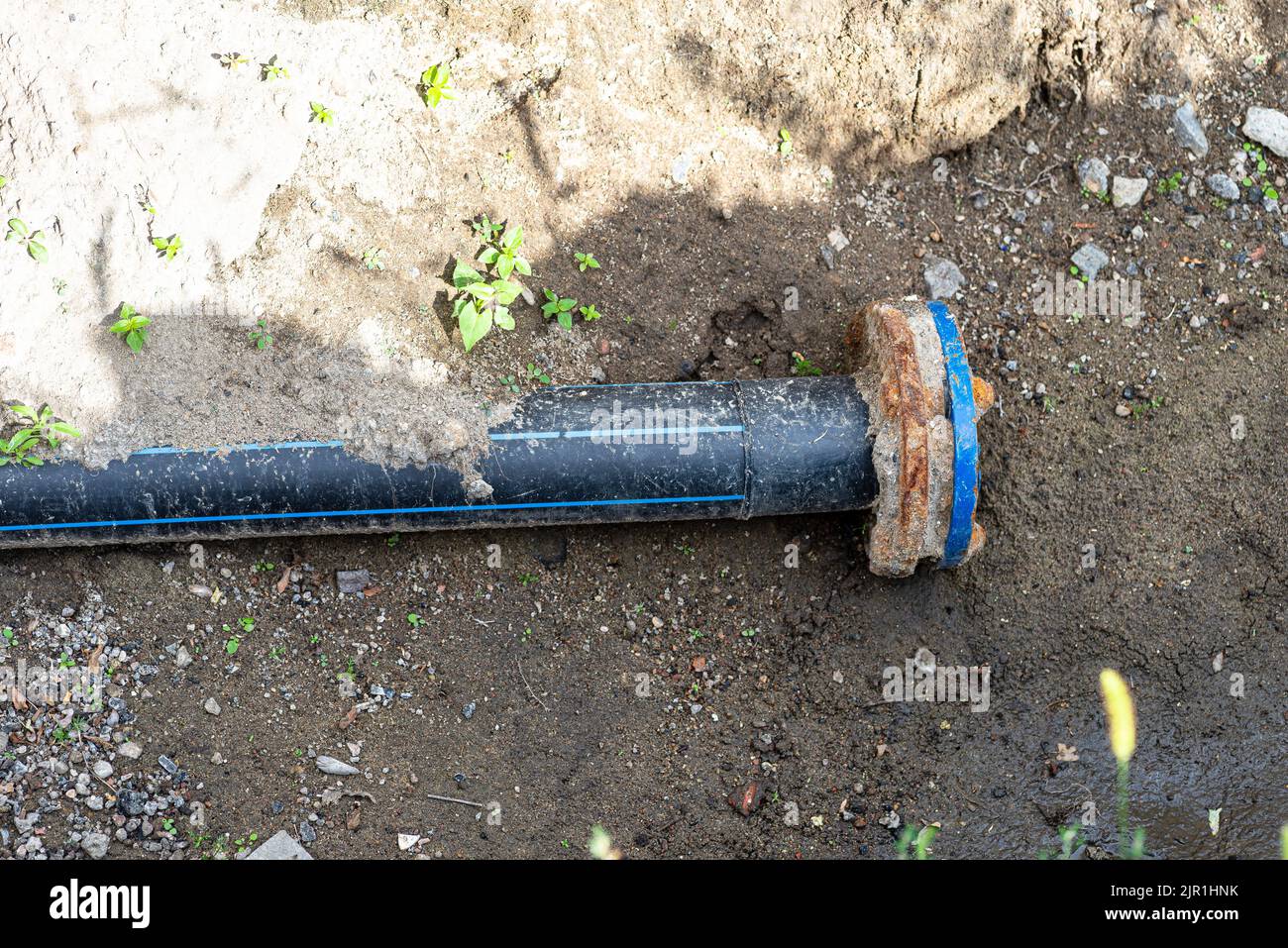 Closed end of a plastic water pipe lying along a ditch with high groundwater, water connection