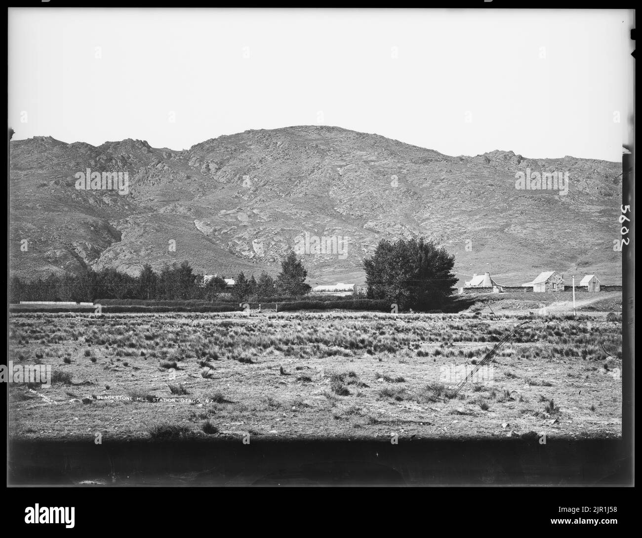 Blackstone Hill Station, Otago, NZ, 1877, Otago, by William Hart, Hart
