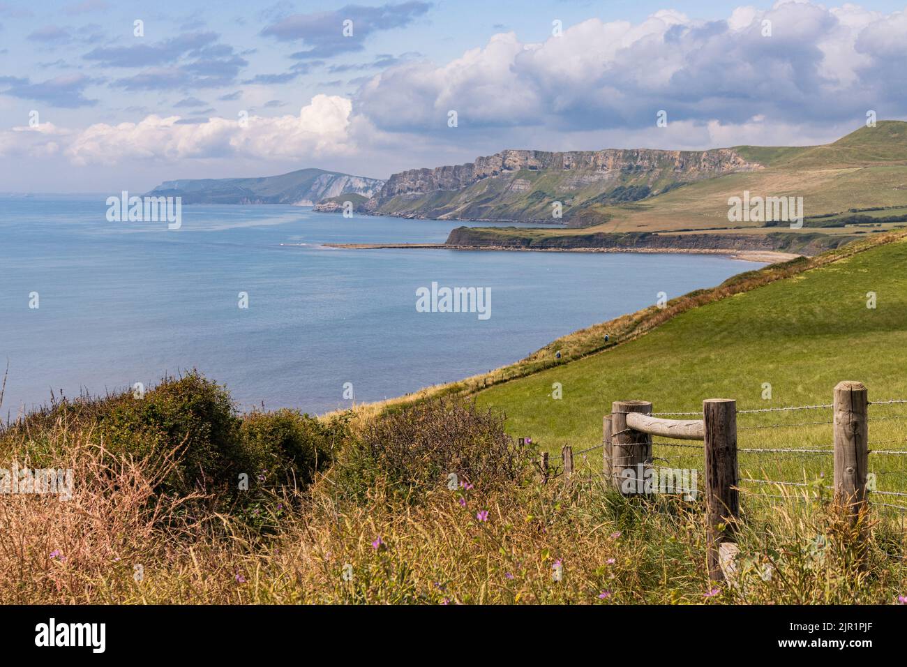 View from the clifftop on the Dorset stretch of the south west coast path with the view towards Kimmeridge Bay and Gad Cliff of Worbarrow Stock Photo