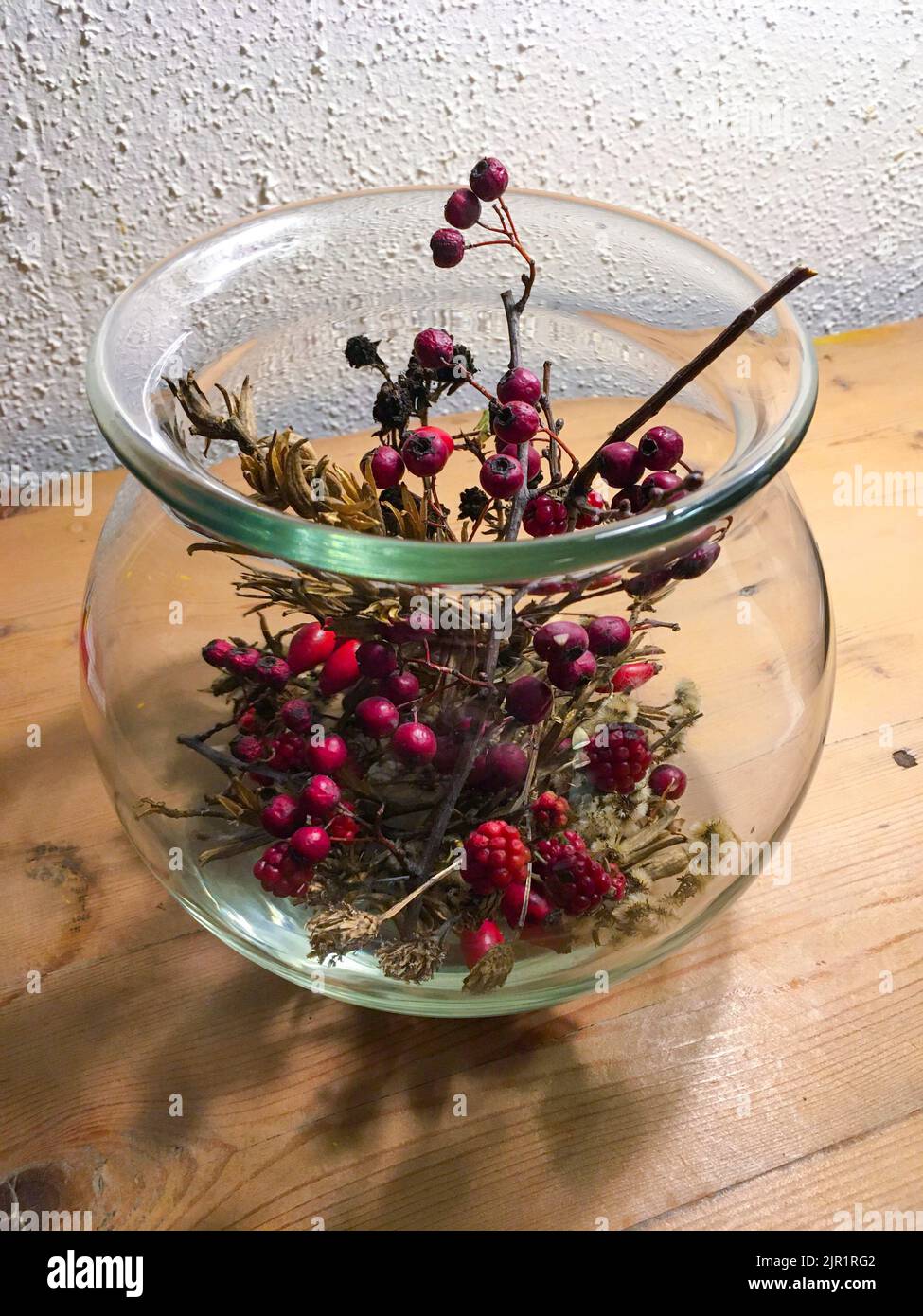 Brombeeren, Ilex, Hagebutte und Gräser in einer Glasvase herbstlich dekoriert Stock Photo