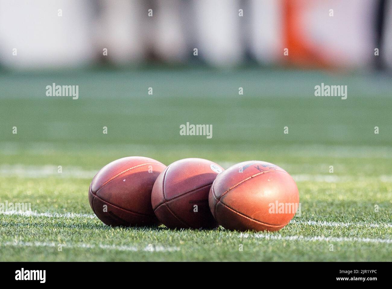 FOXBOROUGH, MA - AUGUST 19: Carolina Panthers wide receiver Ra'Shaun Henry ( 13) during an NFL preseason game between the New England Patriots and the Carolina  Panthers on August 19, 2022, at Gillette