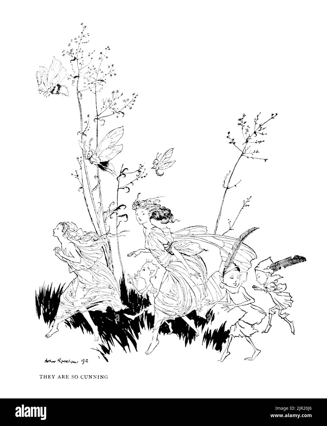 Fairies are so cunning from the book ' Peter Pan in Kensington Gardens ' from ' The little white bird ' by Barrie, J. M (James Matthew) 1860-1937,  Illustrated by Arthur Rackham Publisher Hodder & Stoughton 1910 Stock Photo