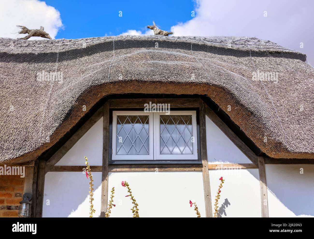 Close up of Thatched Roof, Flamstead, Hertfordshire Stock Photo