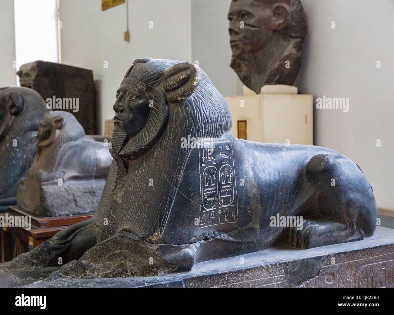 Cairo, Egyptian Museum,  sphinx of Amenemhat III, later usurpated, found in Tanis. Relatively unusual as its head  has lion features (mane). Stock Photo