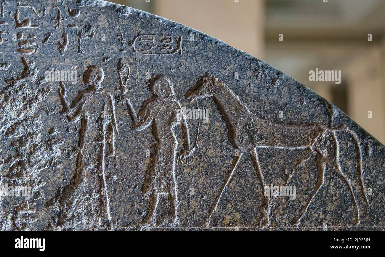 Cairo, Egyptian Museum,  detail of the victory stele of king Piankhy : The prince of Hermopolis walks to the king and leads a horse. Stock Photo