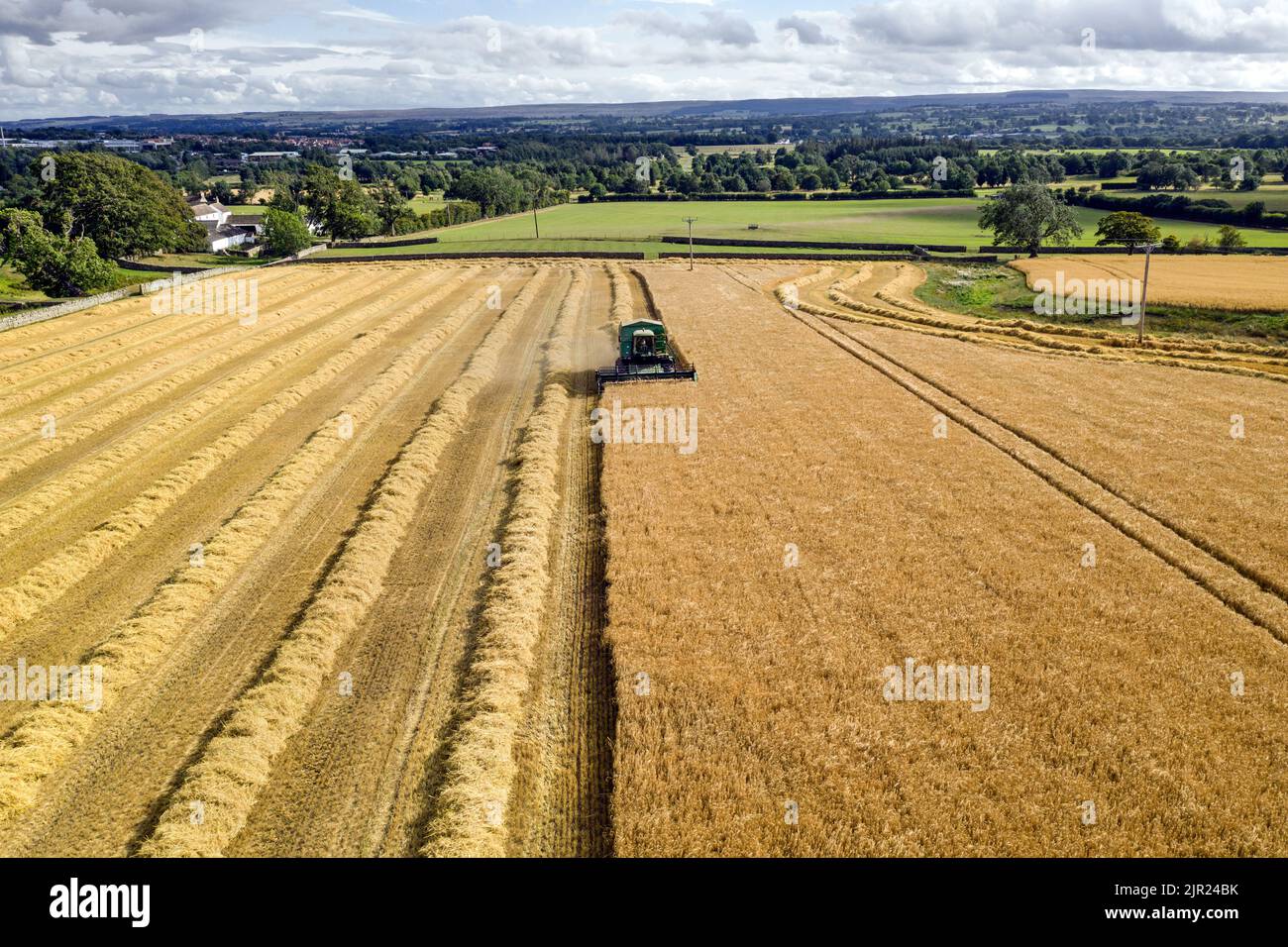 Combine harvester harvesting cereal crop, Northern England, UK Stock Photo