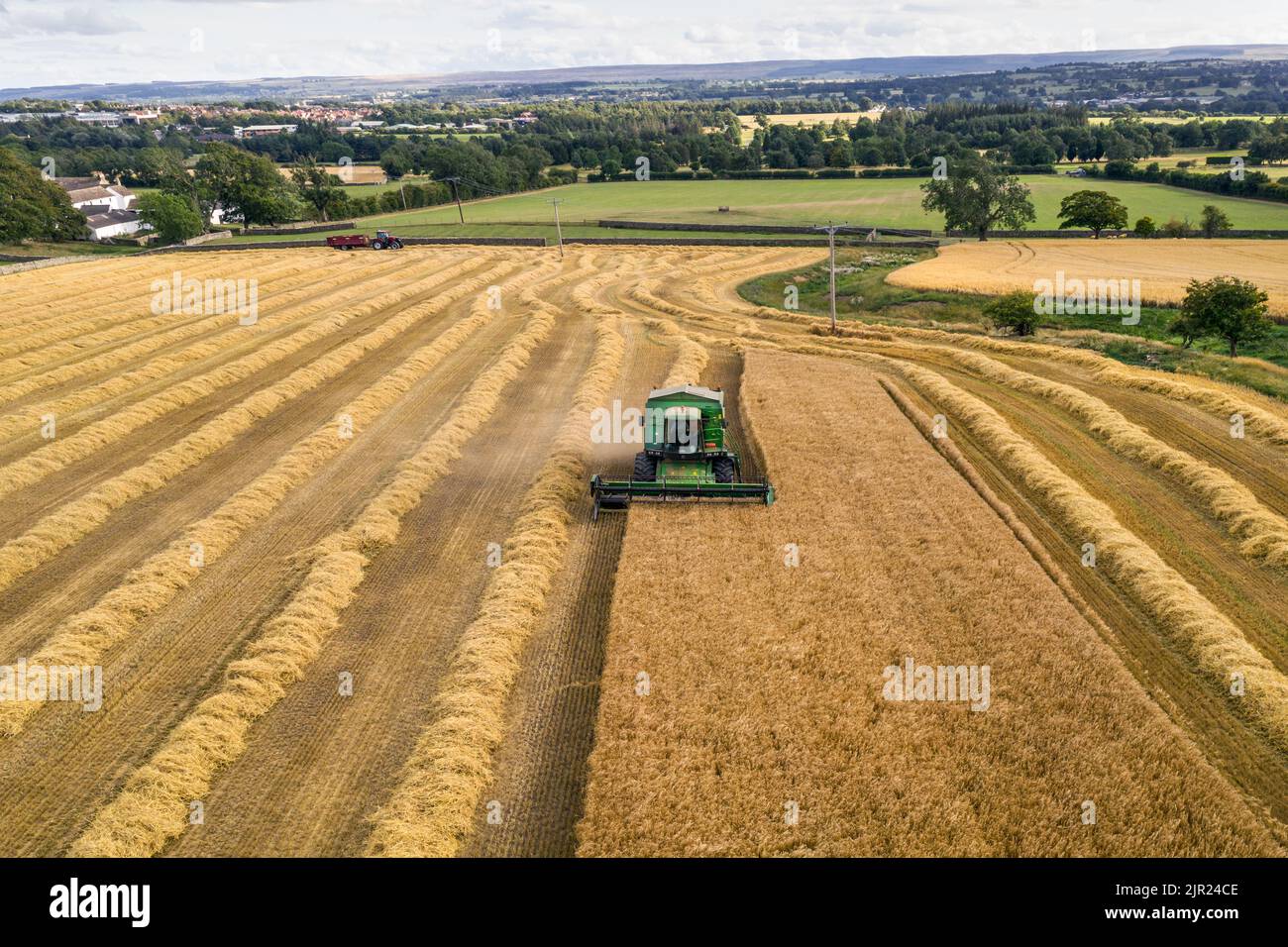 Combine harvester harvesting cereal crop, Northern England, UK Stock