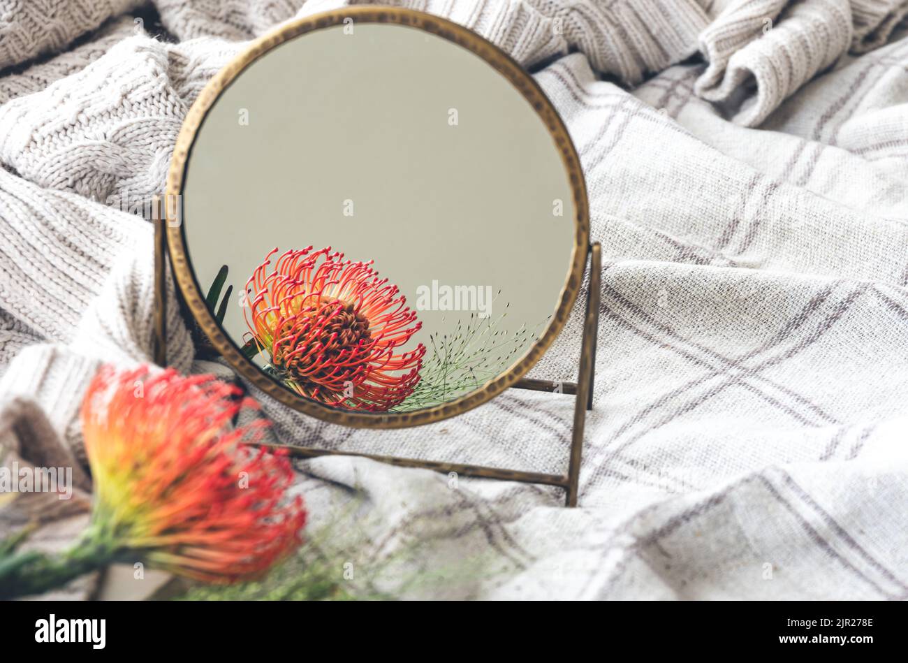 Beautiful background with the reflection of an exotic flower in the mirror Stock Photo Alamy