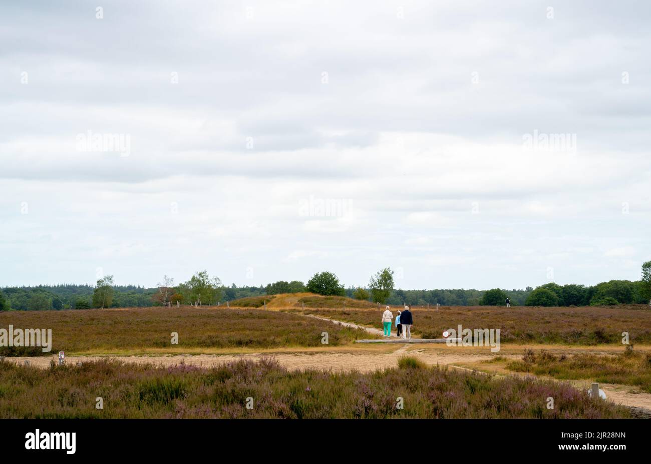 People visiting a tumulus on the heath near Ermelo, Netherlands Stock Photo