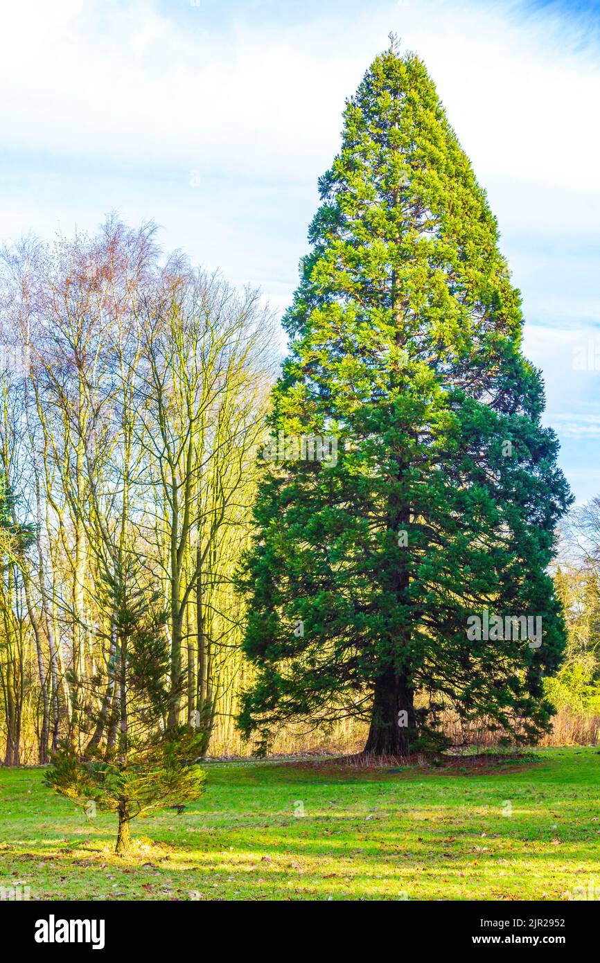 Natural beautiful panorama view with lake river walking pathway and