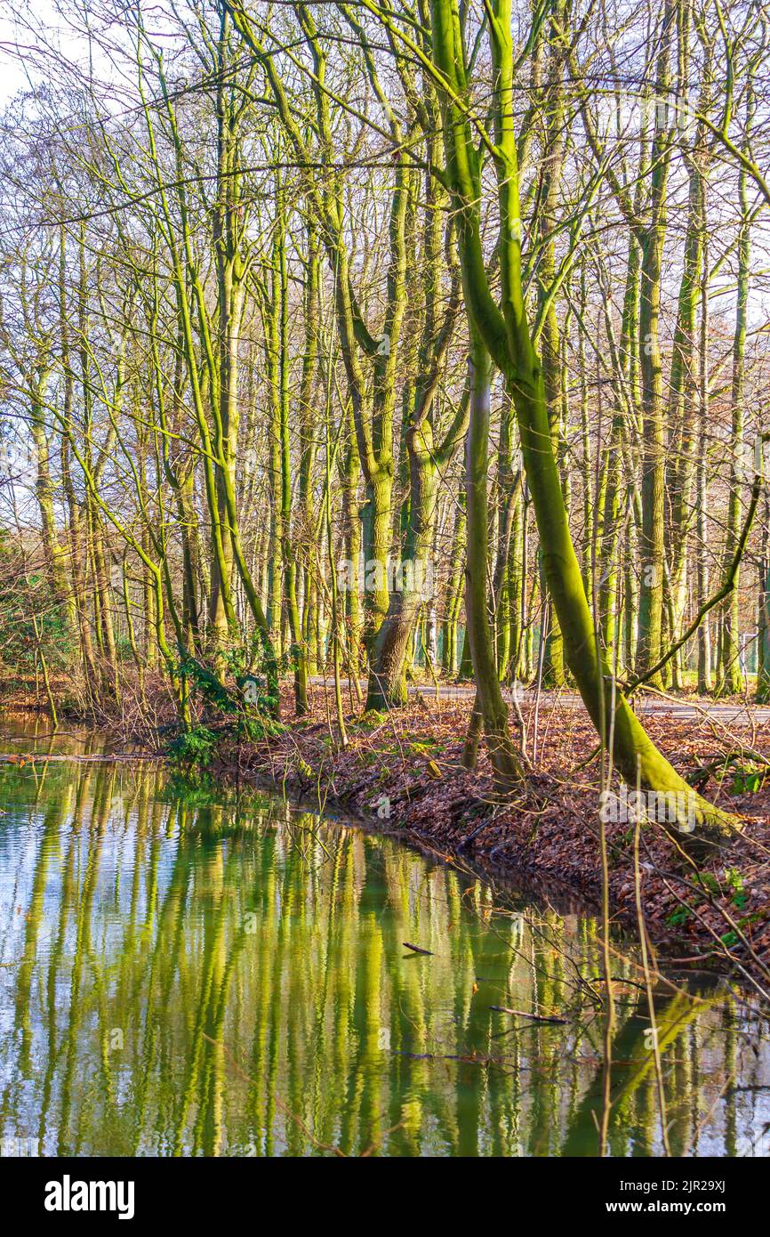 Natural beautiful panorama view with lake river walking pathway and