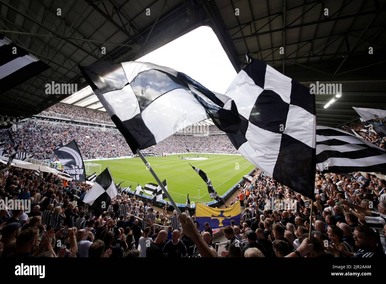 Newcastle fans cheap