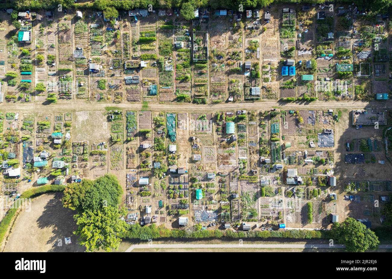 Drone View of An Allotment in Summer Drought in Berkshire, England, UK Stock Photo