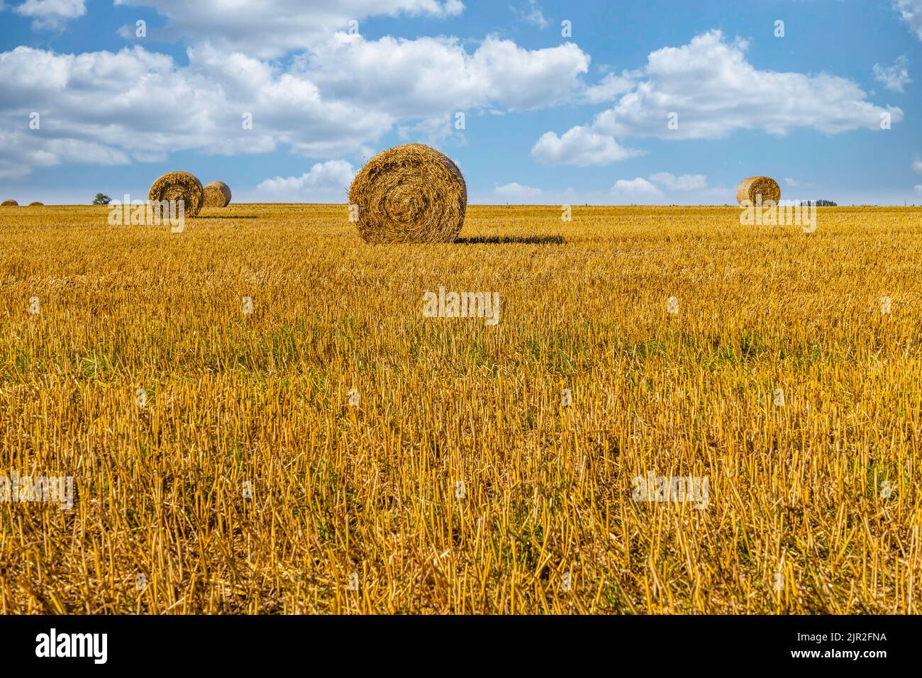 Agriculture field after harvest with large bales of hay in a wheat ...