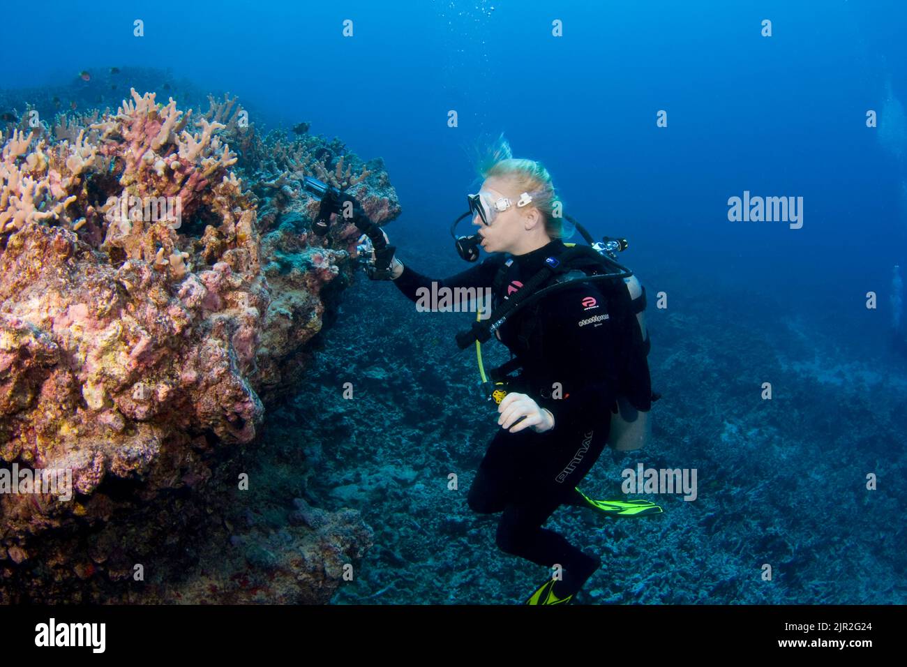 A diver (MR) lines up on a reef with her pointandshoot digital camera in an underwater housing