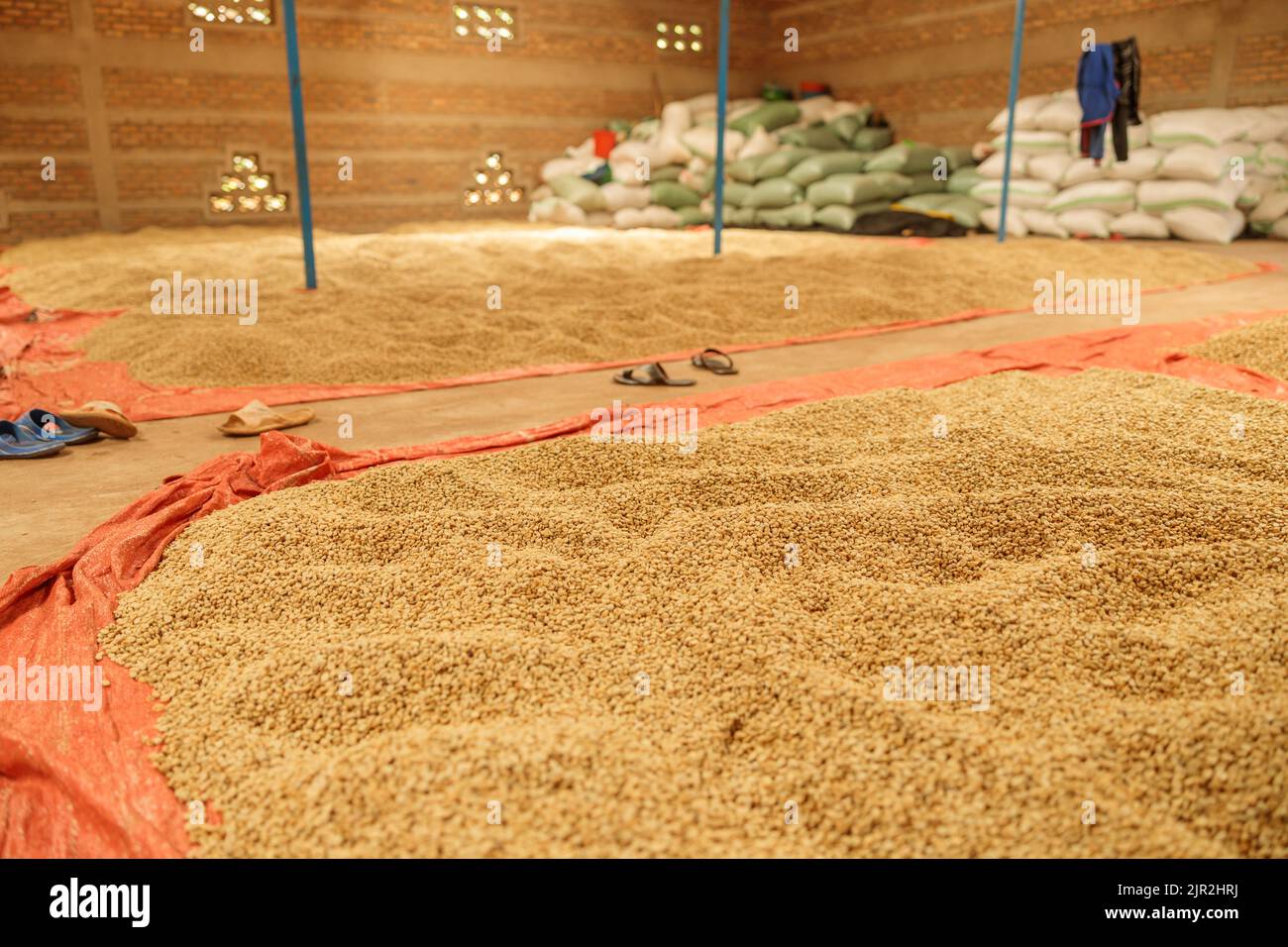 Stock of coffee in a warehouse at farm in region of Rwanda Stock Photo