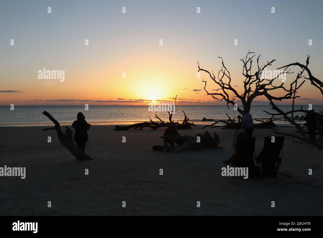 Sunrise silhouette of a dead tree and unidentifiable people on Driftwood Beach at the north end of Jekyll Island, Georgia Stock Photo