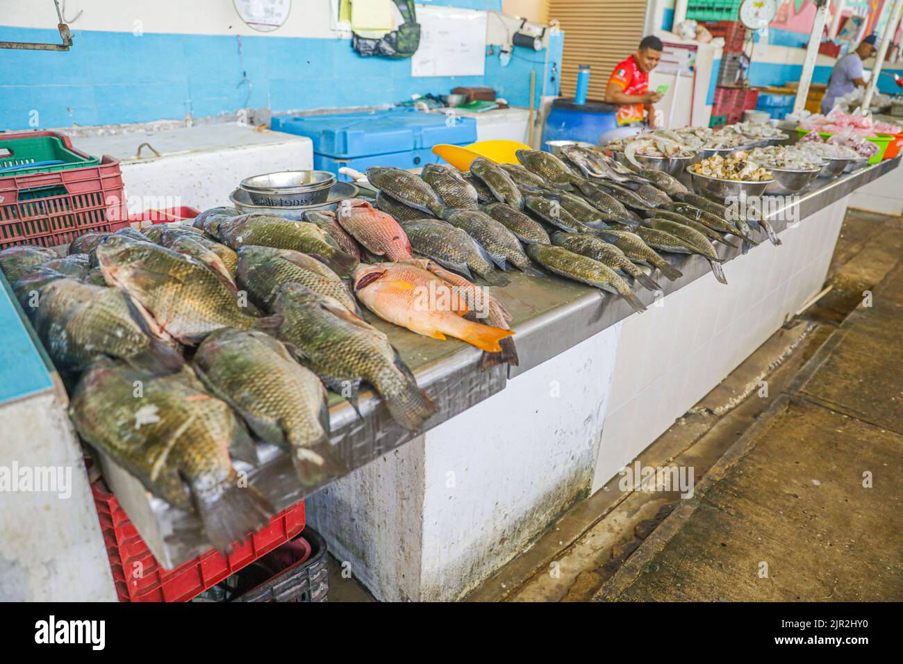 Traditional fish and seafood market in "Alonso Felipe de Andrade