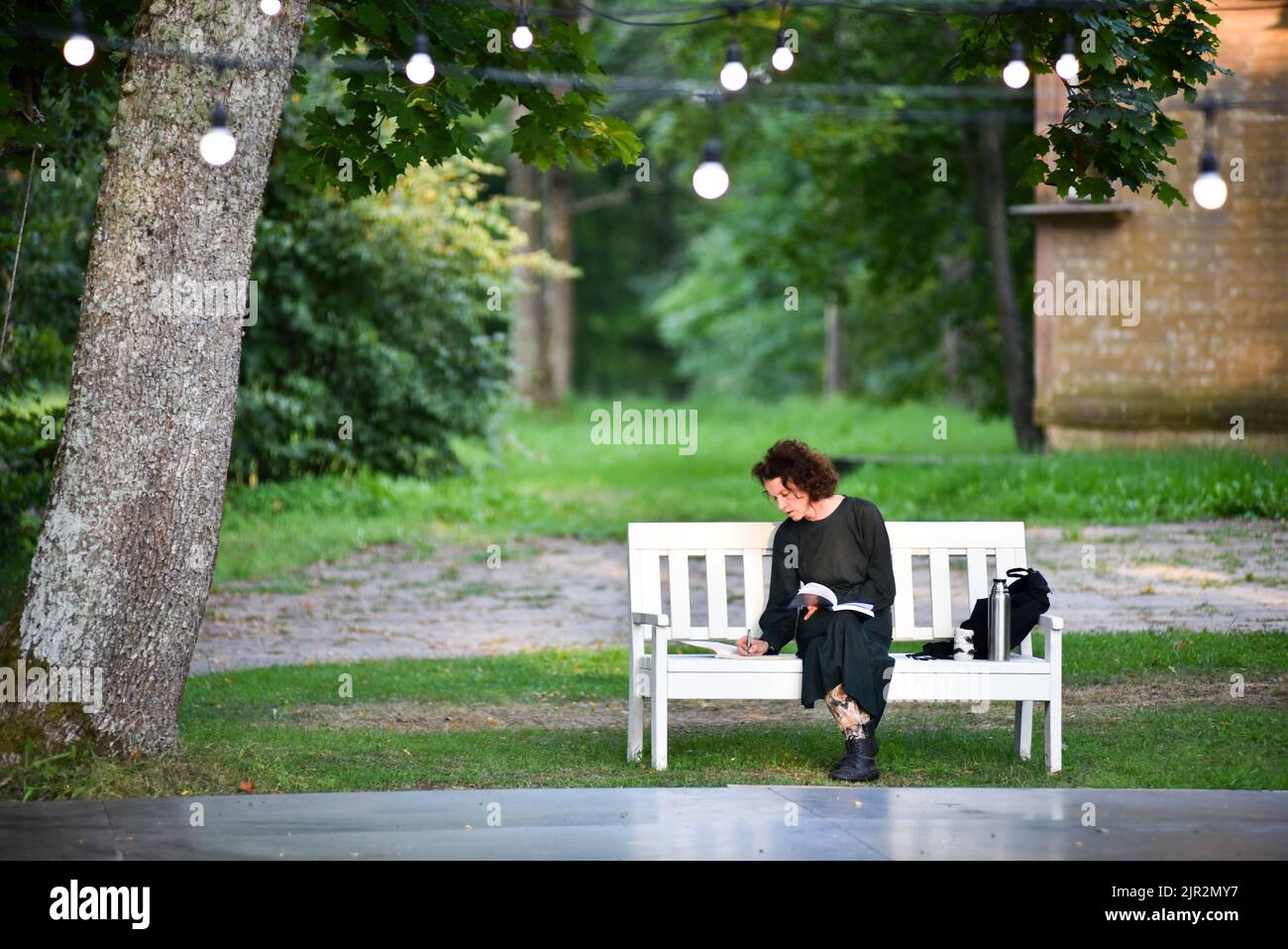 A woman sits on a park bench and reads a book. Stock Photo