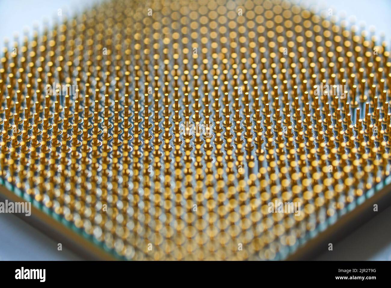 Microprocessor on white background. golden pins facing up. The concept of new technologies Stock Photo