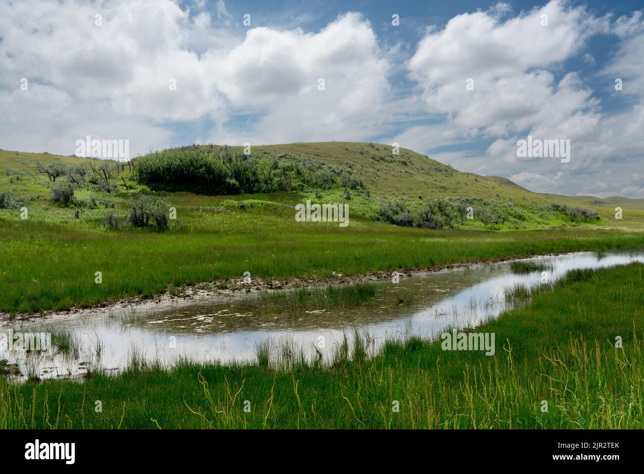 A scenic view of a stream in Grasslands National Park, Saskatchewan, Canada. Stock Photo