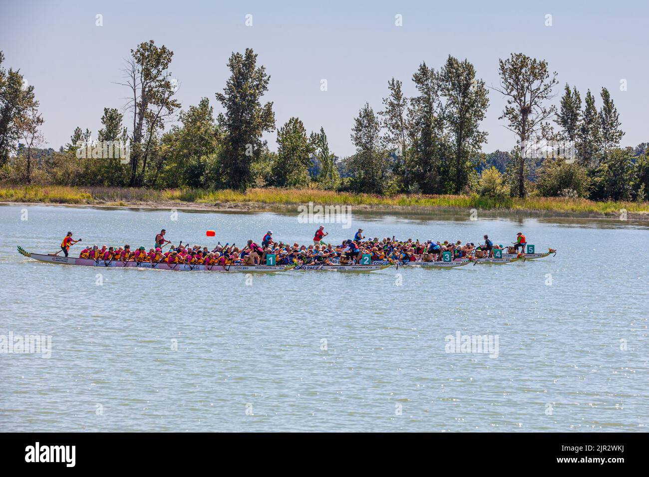 Start of a Dragon Boat race at the 2022 Steveston Festival in British Columbia Canada Stock Photo
