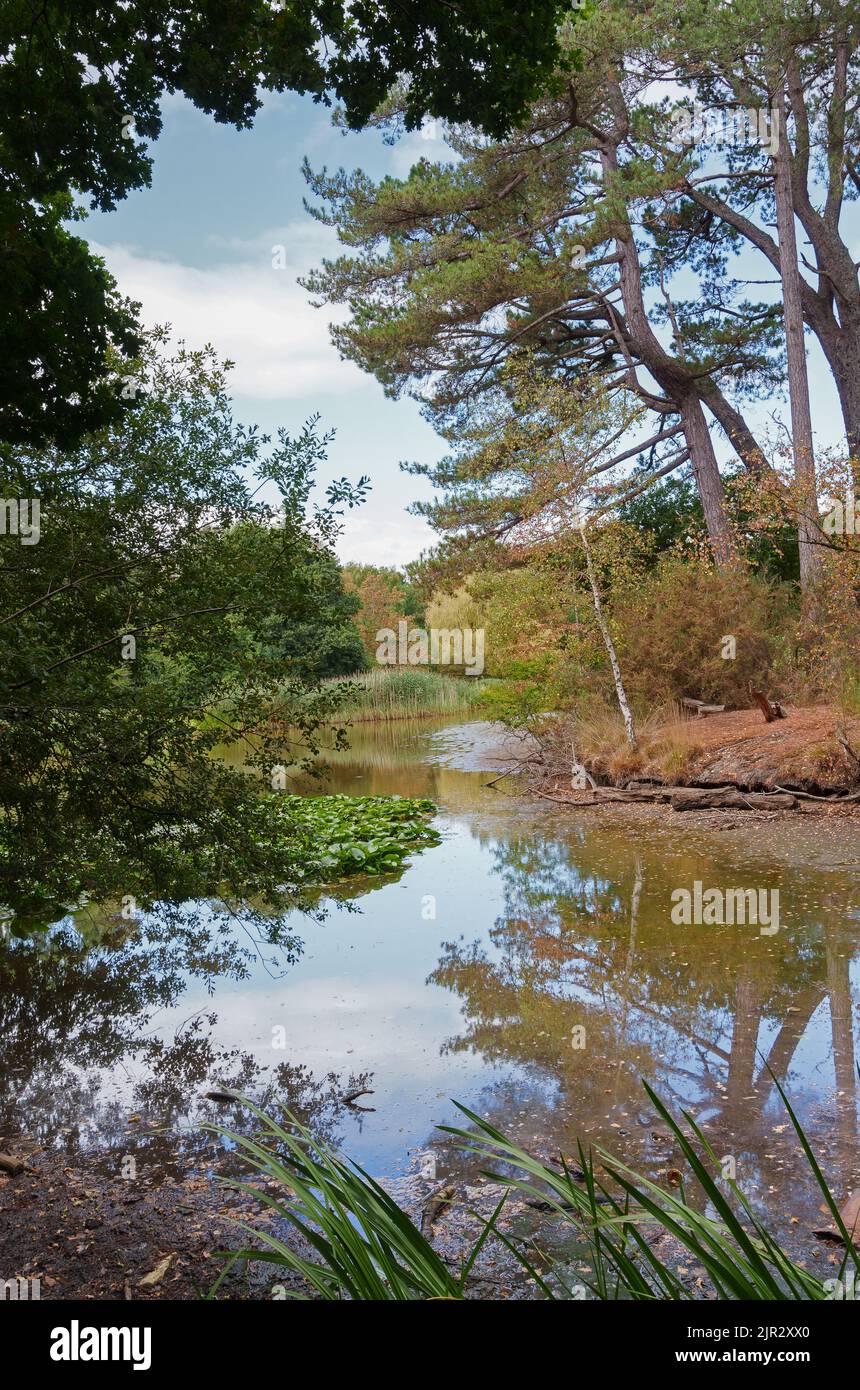 The Ornamental Lake on Southampton Common, Southampton UK during the