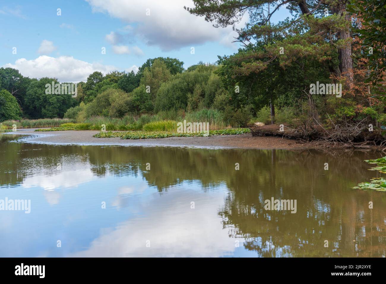 The Ornamental Lake on Southampton Common, Southampton UK during the drought of 2022. Stock Photo