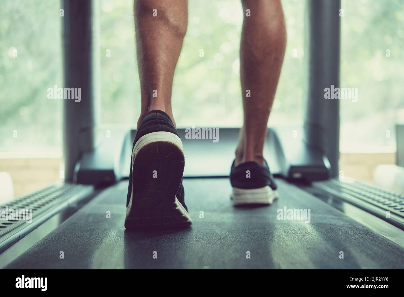 Back view muscular man on hi-res stock photography and images - Alamy