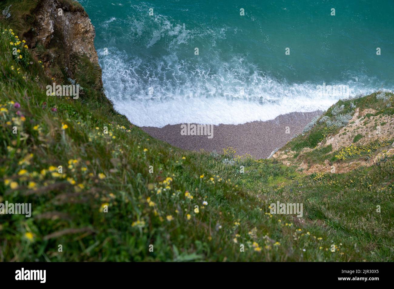 View from chalk cliffs near Porte d'Aval arch in Etretat village on summer wild flowers and blue water of Atlantic ocean, Normandy, France. Tourists d Stock Photo