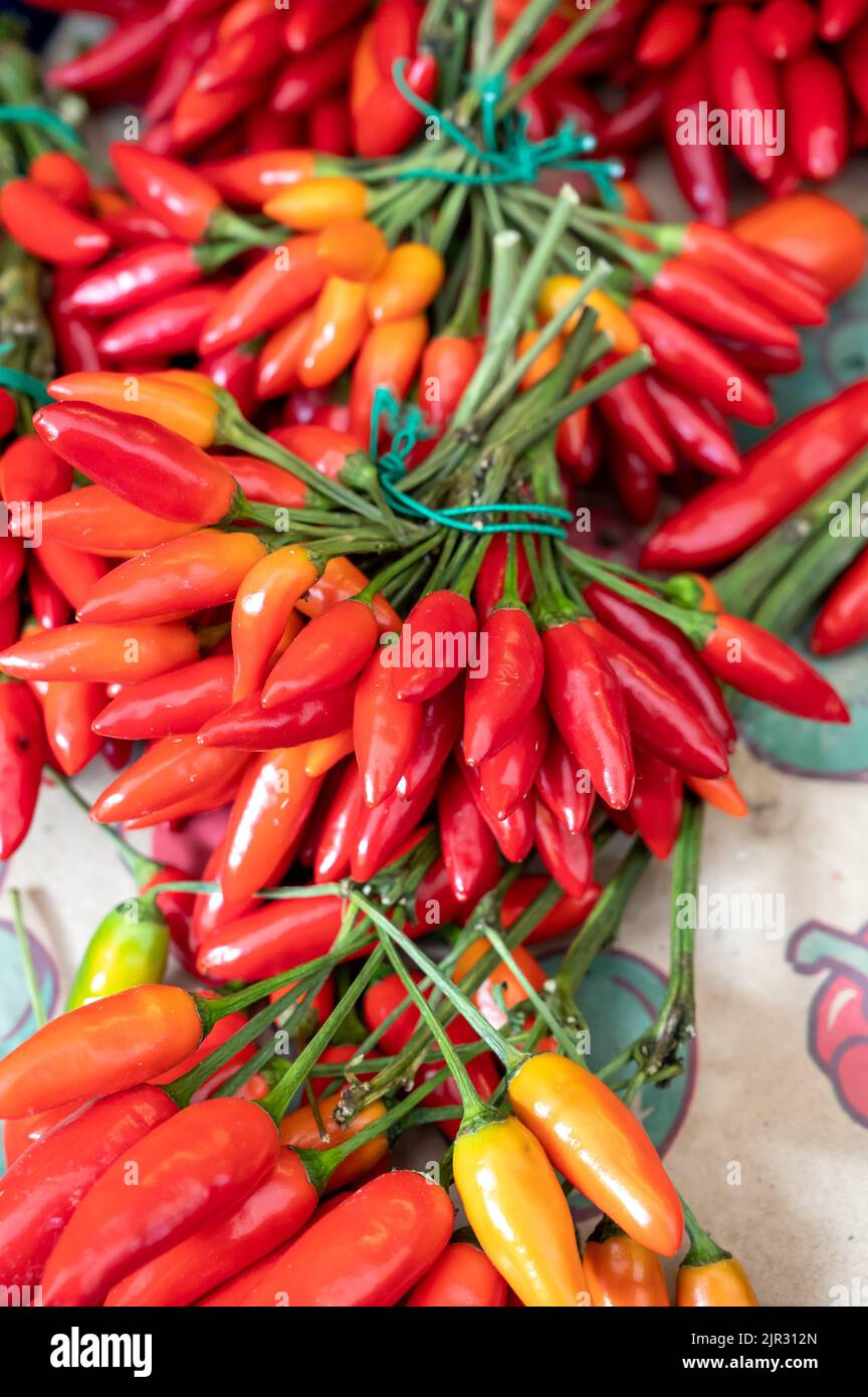 Bunches of many red hot chili peppers for sale on market Stock Photo ...