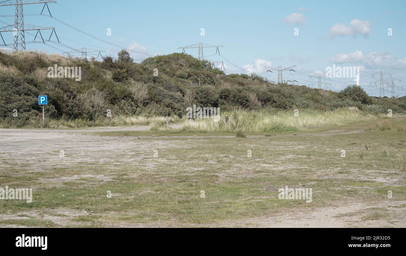 A green field with trees and electricity poles in the far under a blue ...